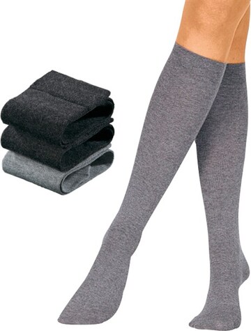 ROGO Knee High Socks in Grey