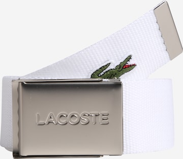 Cintura di LACOSTE in bianco: frontale