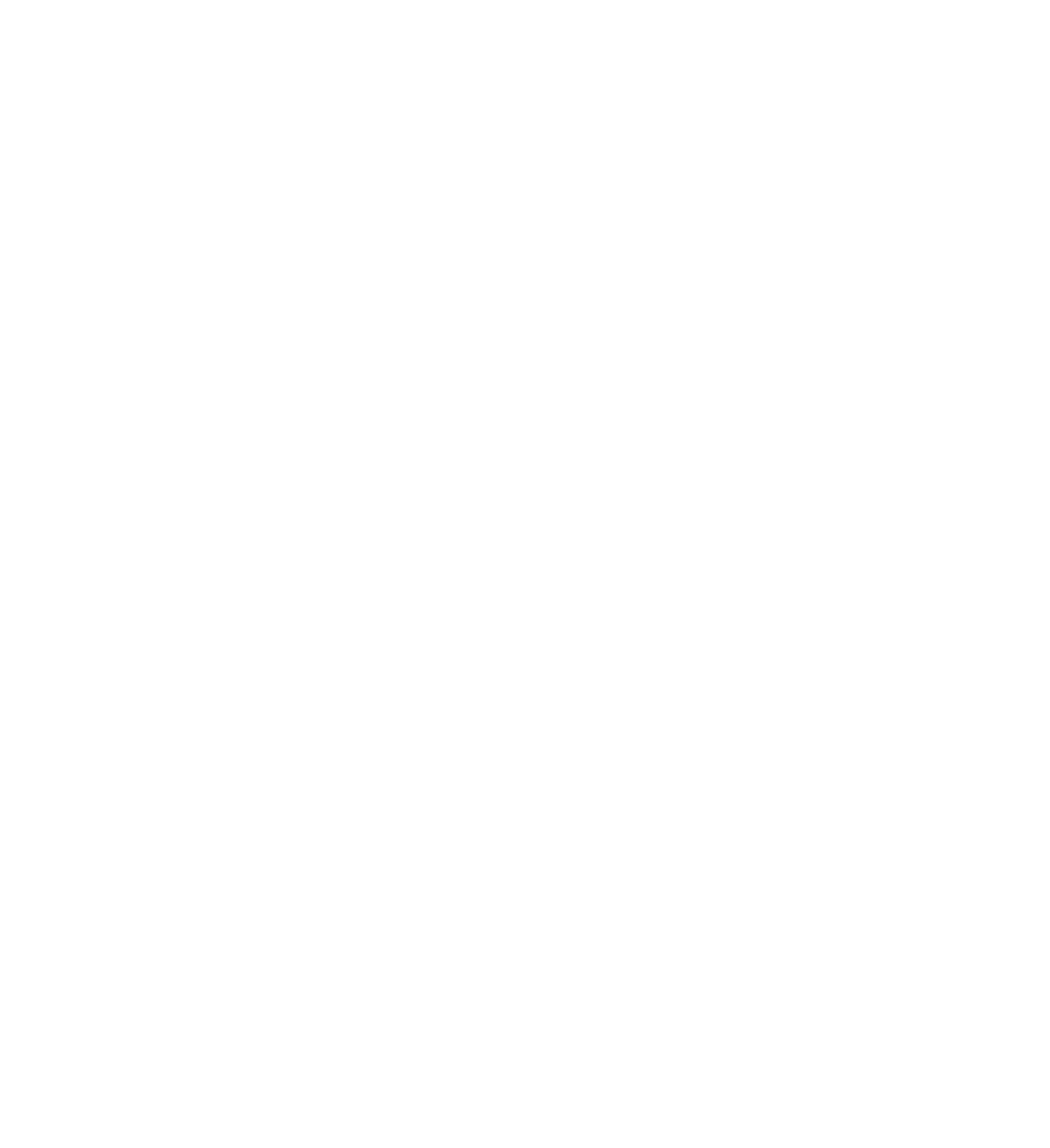 Pretty Ballerinas Logo