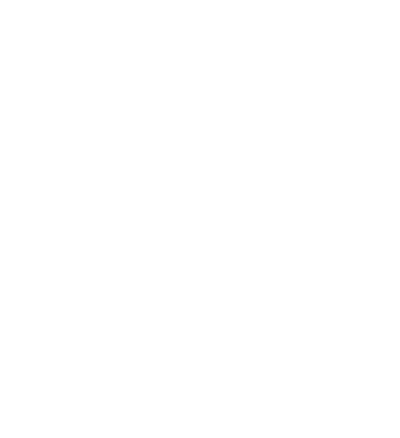 PRETTY BALLERINAS Logo