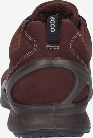 ECCO Sneakers laag 'Biom Fjuel' in Bruin