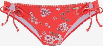 SUNSEEKER Bikini Bottoms 'Ditsy' in Red: front