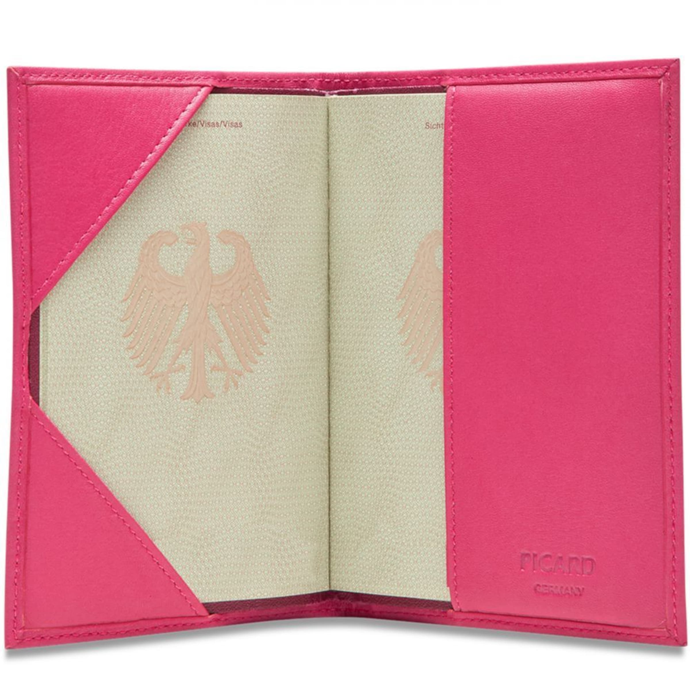 Picard Etui in Zwart