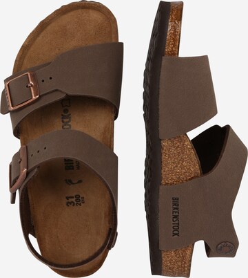 BIRKENSTOCK Open shoes 'New York' in Brown: side