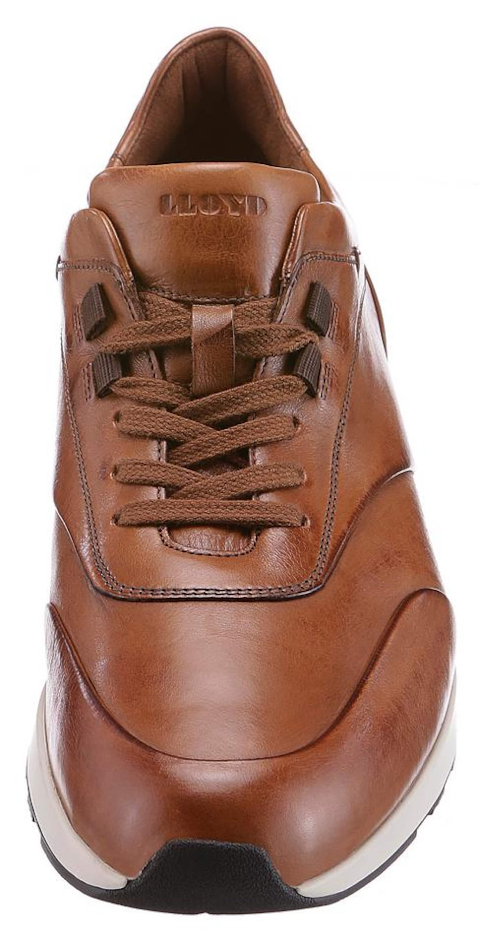 Männer Sneaker LLOYD Sneaker 'Ajas' in Braun - BK73458