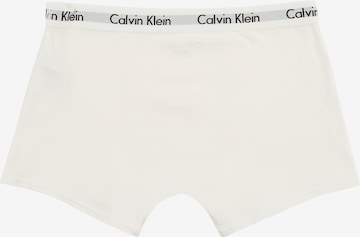 Calvin Klein Underwear Underpants in Grey: back