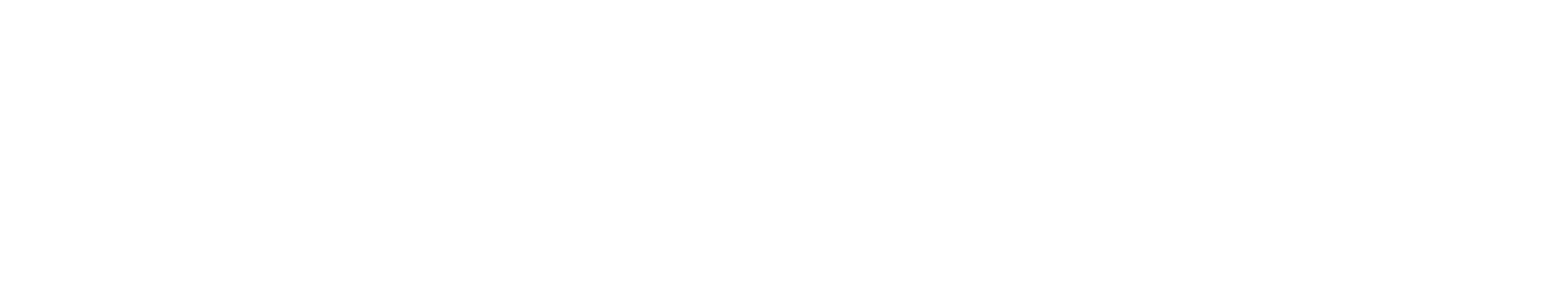 SKAGEN Logo