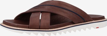 LLOYD Mules in Brown: front