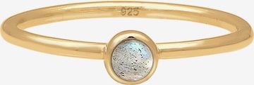 ELLI Ring 'Bandring' in Gold