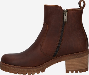 PANAMA JACK Ankle Boots 'Pauline' in Brown