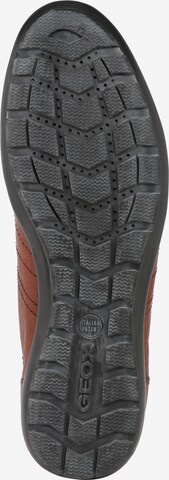 GEOX Lace-Up Shoes in Brown