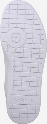 Baskets basses 'Carnaby Evo' LACOSTE en blanc