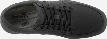 Baskets basses 'Spencer' BOXFRESH en noir