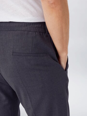 DRYKORN Regular Pleat-Front Pants in Grey