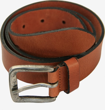 Petrol Industries Belt in Brown: front