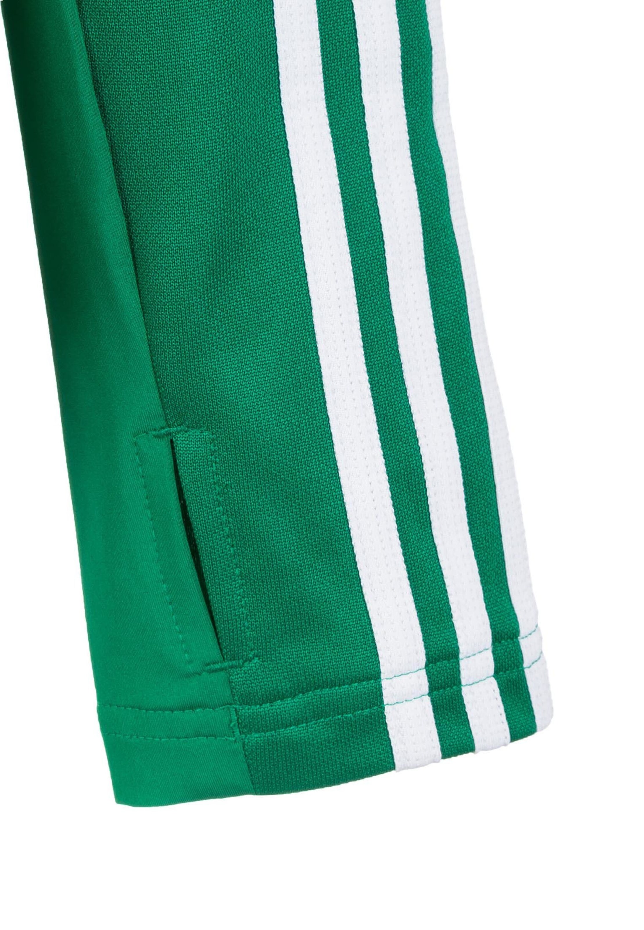 ADIDAS PERFORMANCE Sportsweatshirt 'Tiro 19' in Grün
