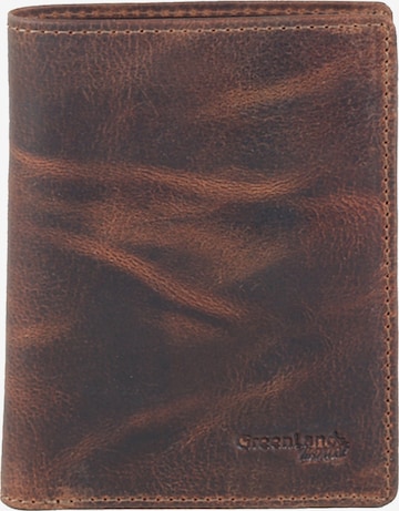 Greenland Nature Wallet in Brown: front