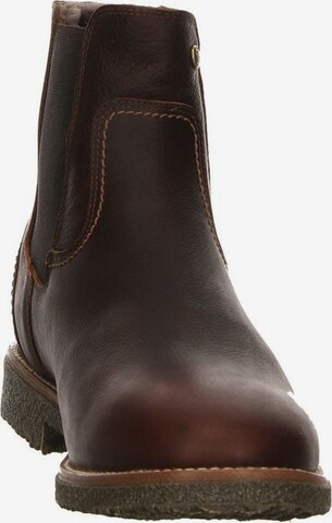 PANAMA JACK Chelsea boots 'Garnock' in Bruin