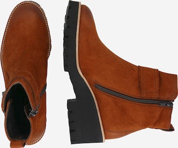 Paul Green Booties in Brown