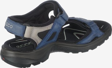 Sandales de randonnée 'Offroad' ECCO en bleu