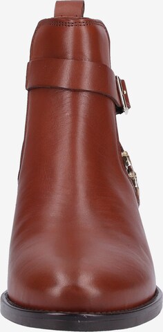 SCAPA Chelsea Boots in Brown