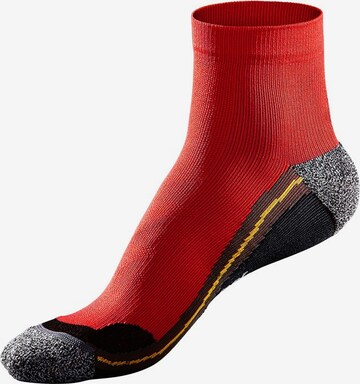 CHIEMSEE Athletic Socks in Red