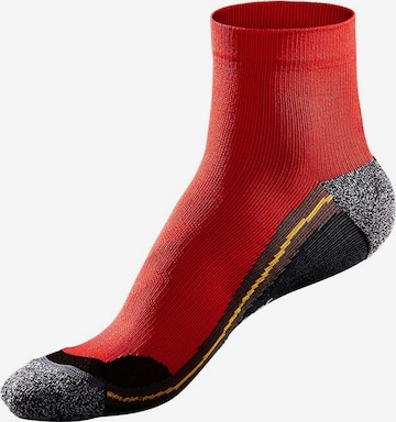 CHIEMSEE Athletic Socks in Red