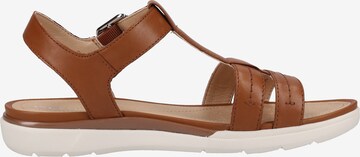 GEOX Sandals in Brown