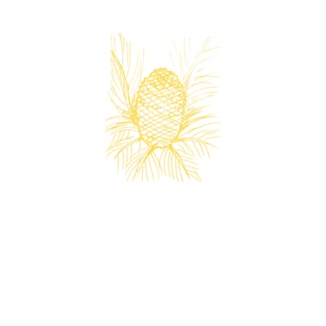CYCAS D'OR Logo