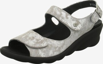 Wolky Sandals in Grey: front