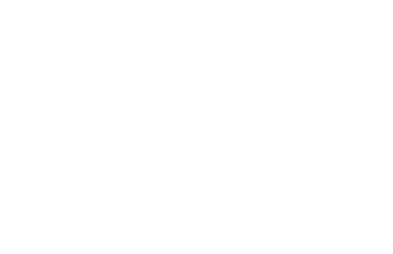 BULLBOXER Logo