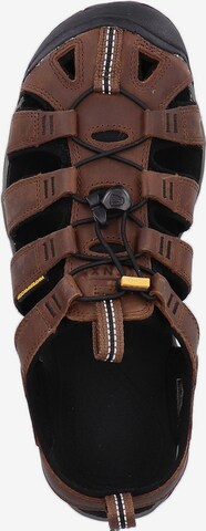 KEEN Sandals 'CLEARWATER CNX' in Brown