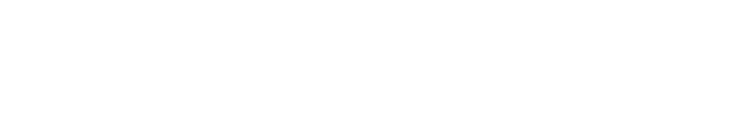 MAX&Co. Logo