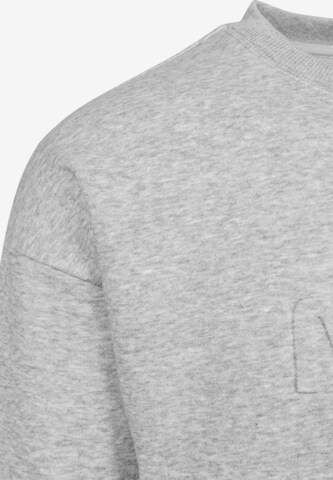 Mister Tee Sweatshirt 'Embossed NASA Worm' in Grey