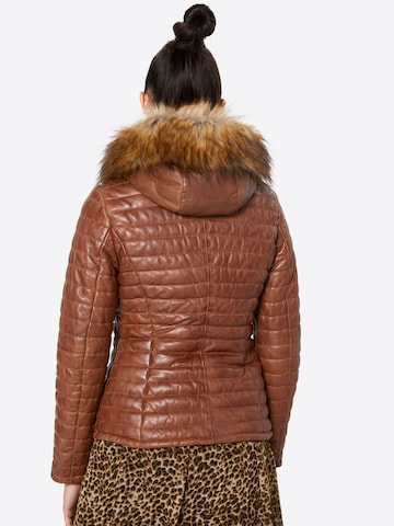 Veste mi-saison 'Fury' OAKWOOD en marron : derrière