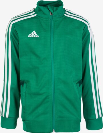 ADIDAS PERFORMANCE Sportjas 'Tiro 19' in Groen: voorkant