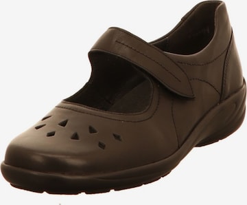 SEMLER Ballet Flats with Strap in Brown: front