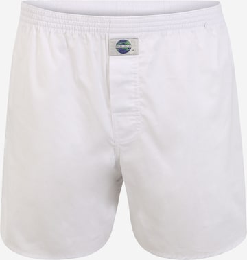 D.E.A.L International Regular Boxer shorts 'Chambray' in White: front