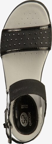 GEOX Sandale in Schwarz