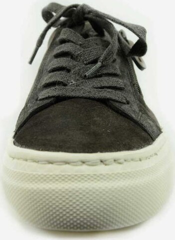 Paul Green Sneakers laag in Grijs