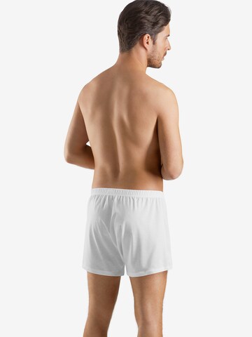 Hanro Boxer shorts in White