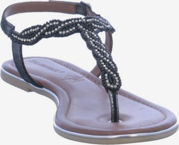 SALAMANDER Sandals in Black