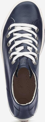 Sneaker alta di Paul Green in blu