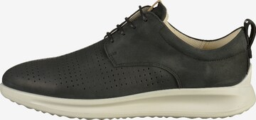 ECCO Lace-Up Shoes in Black