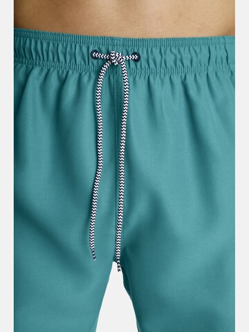 Jan Vanderstorm Board Shorts 'Leano' in Green