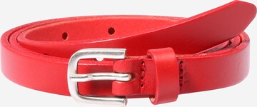 VANZETTI Belt in Red: front