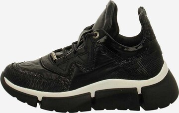 Cetti Sneakers in Black