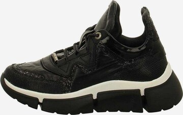 Cetti Sneakers in Schwarz