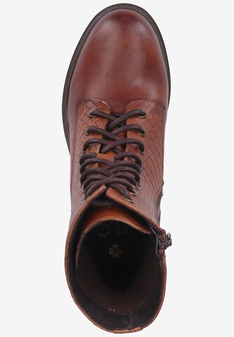 ILC Lace-Up Ankle Boots in Brown