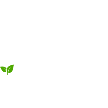Bayton Logo